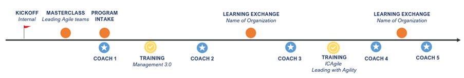 Agile Leadership Program journey
